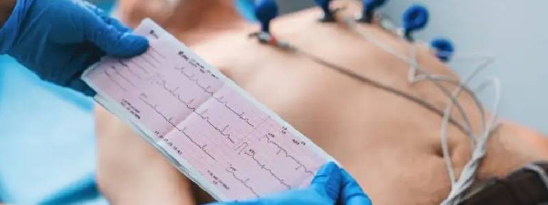 2D Echo Test in Goregaon