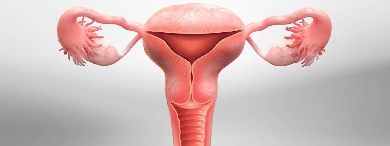 Hysterectomy Surgery in Goregaon