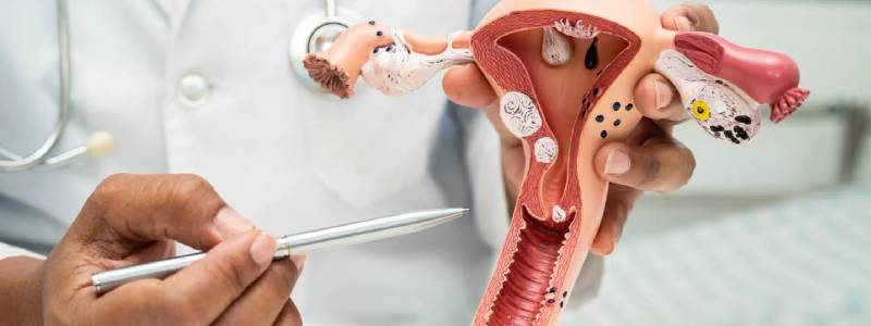 Diagnostic Hysteroscopy Surgery in Goregaon